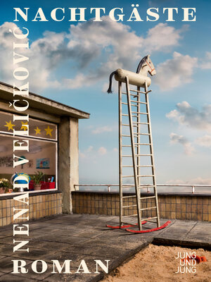 cover image of Nachtgäste